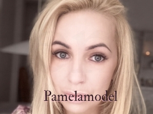 Pamelamodel